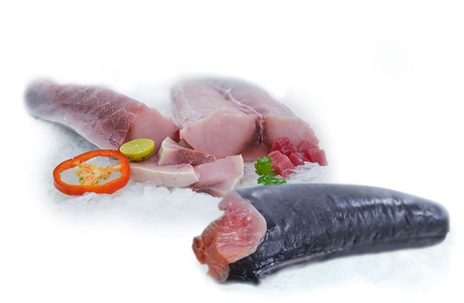 SWORD FISH